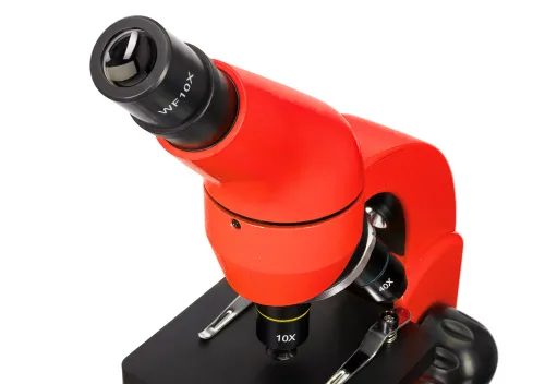 picture Levenhuk Rainbow 50L Microscope,  11