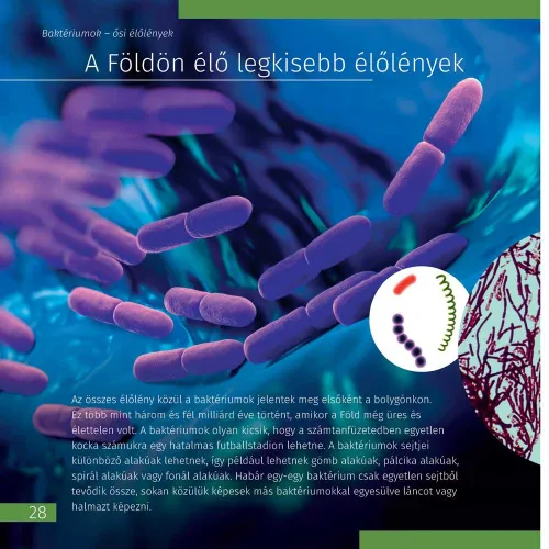 picture Space. Microworld. Knowledge Book 2 vol,  10