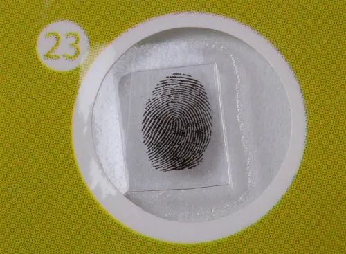 picture Levenhuk LabZZ P12 Plants Prepared Slides Set,  7