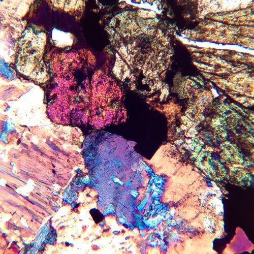 photograph MAGUS Pol D850 LCD Polarizing Digital Microscope,  26