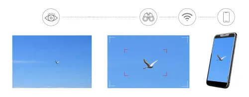 photograph Levenhuk Kelvin Snap ED 8x42 Digital Photomonocular,  4