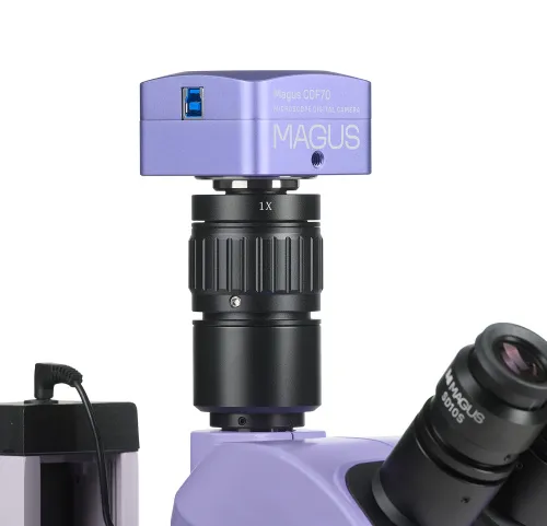 image MAGUS Stereo D7T PLUS Digital Stereomicroscope,  4