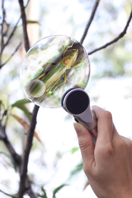 picture Levenhuk Zeno 400 LED Magnifier, 2/4x, 88/21mm, Metal,  9