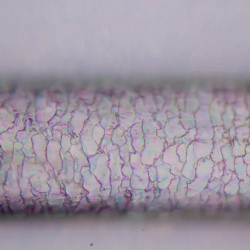 image MAGUS Pol D800 LCD Polarizing Digital Microscope,  25