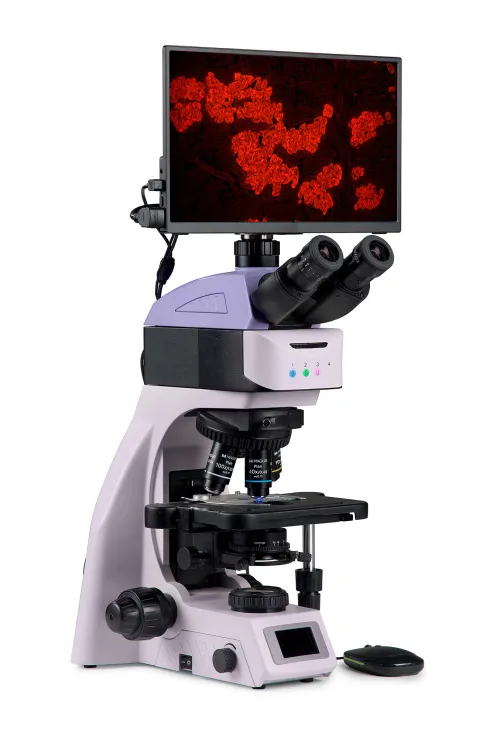 photo MAGUS Lum D460L LCD Fluorescence Digital Microscope,  3