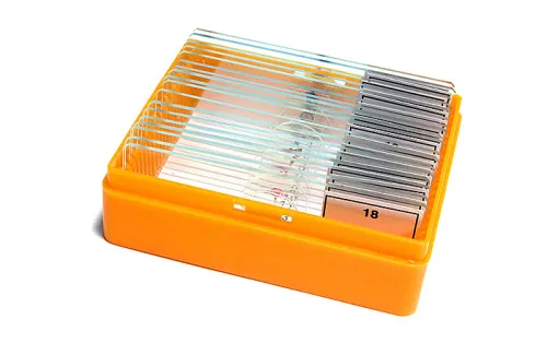 picture Levenhuk N18 NG Prepared Slides Set,  5