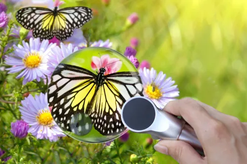 picture Levenhuk Zeno 400 LED Magnifier, 2/4x, 88/21mm, Metal,  7