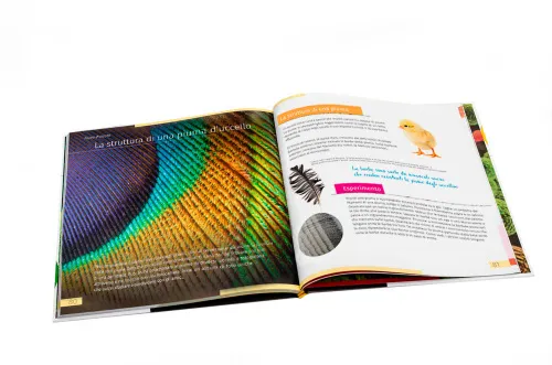 image Invisible World. Knowledge book. Hardcover,  4