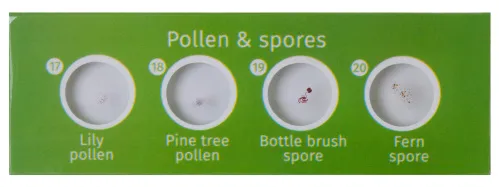 photograph Levenhuk LabZZ CP24 Creatures & Plants Prepared Slides Set,  6