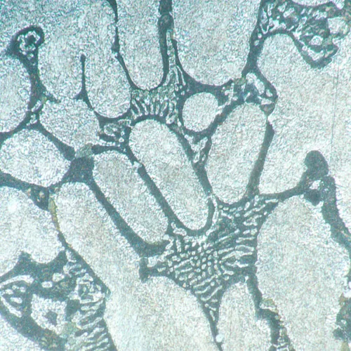 photograph MAGUS Metal VD700 Metallurgical Inverted Digital Microscope,  21