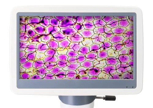 image Levenhuk D85L LCD Digital Microscope - Exhibition Item,  6