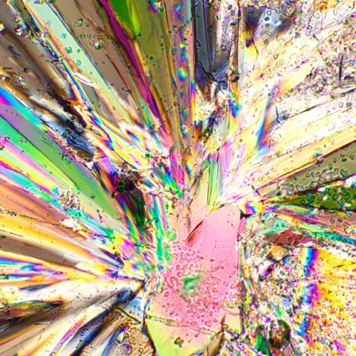 picture MAGUS SPD1 Polarizer/Analyzer Set,  5