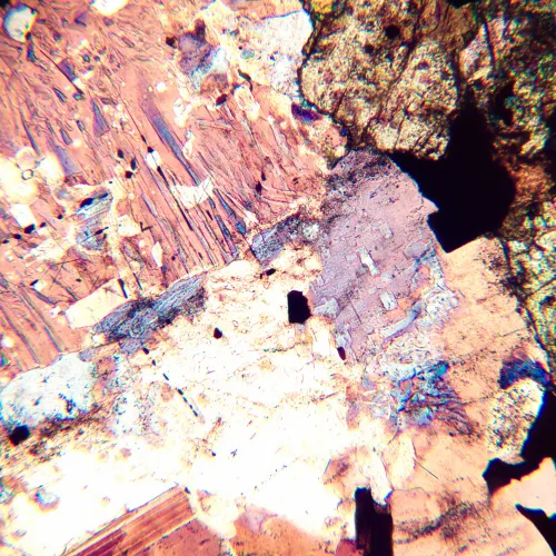 image MAGUS Pol D800 LCD Polarizing Digital Microscope,  22