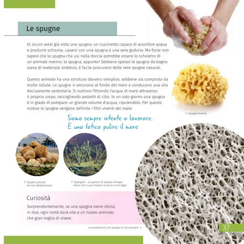 image Invisible World. Knowledge book. Hardcover,  10