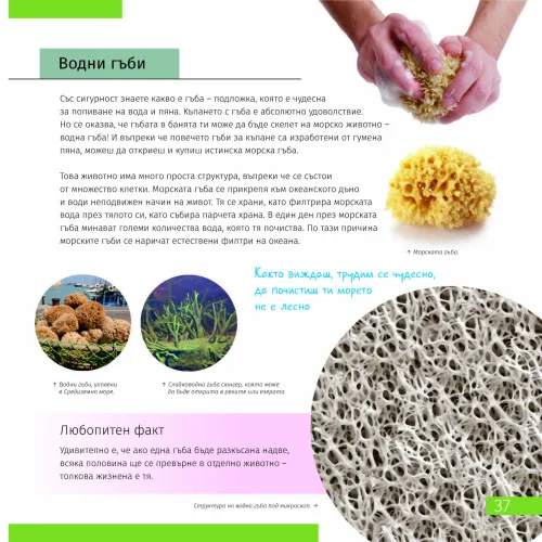 image Invisible World. Knowledge book. Hardcover,  7