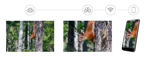 photograph Levenhuk Kelvin Snap ED 8x42 Digital Photobinoculars,  8