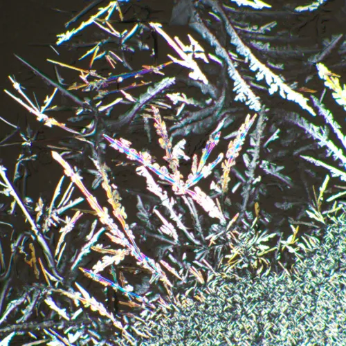 photograph MAGUS SPD3 Polarizer/Analyzer Set,  6