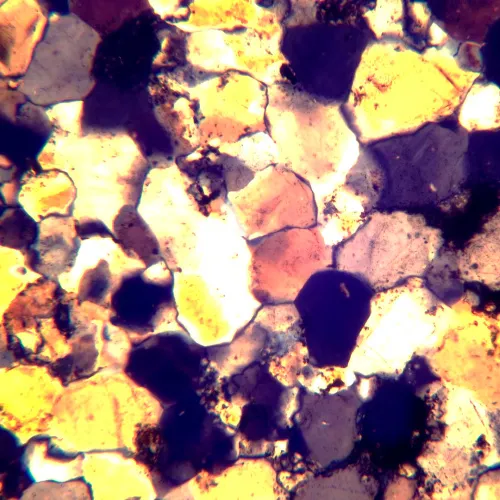 image MAGUS Pol D800 LCD Polarizing Digital Microscope,  24