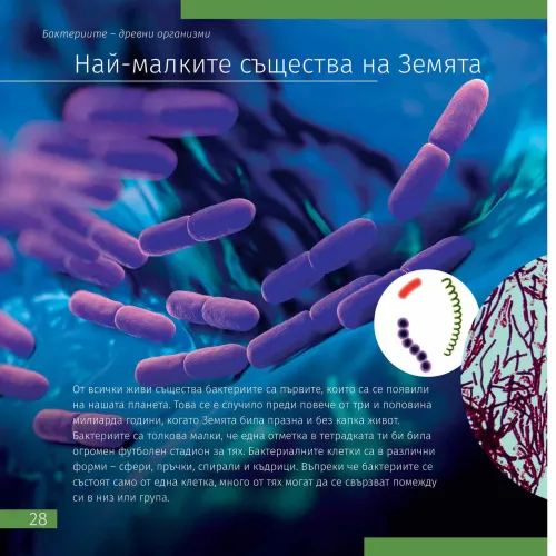 image Invisible World. Knowledge book. Hardcover,  5