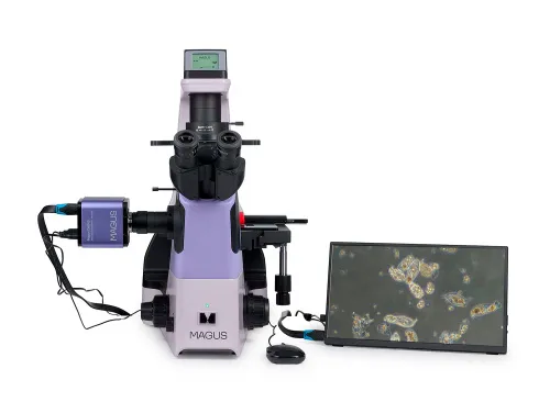 photo MAGUS Bio VD360 LCD Biological Inverted Digital Microscope,  4