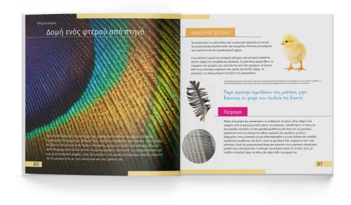 photograph Invisible World. Knowledge book,  4