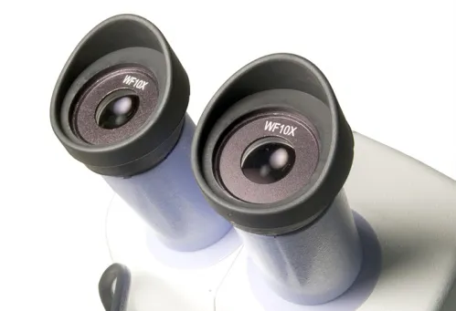 picture Levenhuk 5ST Microscope,  6