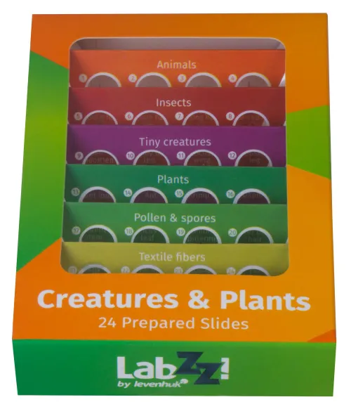 photograph Levenhuk LabZZ CP24 Creatures & Plants Prepared Slides Set,  11