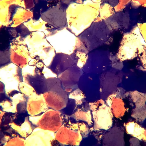 picture MAGUS Pol 850 Polarizing Microscope,  22