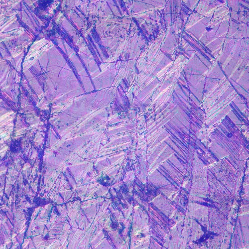 photograph MAGUS Metal V700 DIC Metallurgical Inverted Microscope,  17