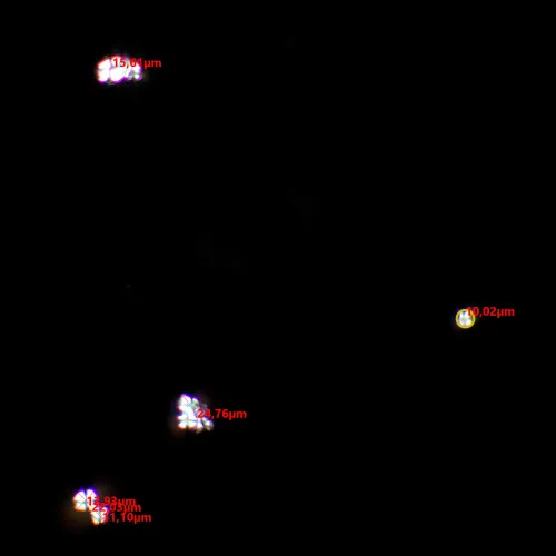 picture MAGUS SPD1 Polarizer/Analyzer Set,  8