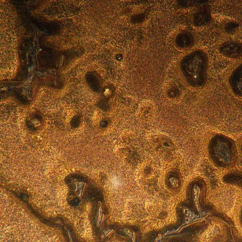 photograph MAGUS Metal V790 DIC Metallurgical Inverted Microscope,  19