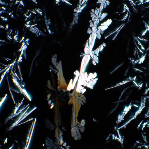 photograph MAGUS SPD2 Polarizer/Analyzer Set,  5