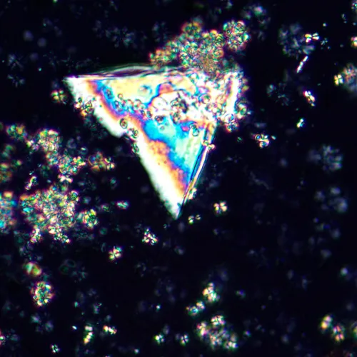 photograph MAGUS Pol D850 LCD Polarizing Digital Microscope,  27