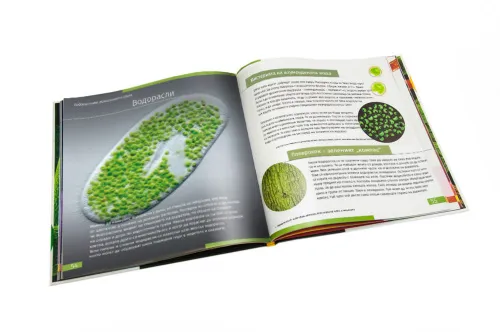 image Invisible World. Knowledge book. Hardcover,  9