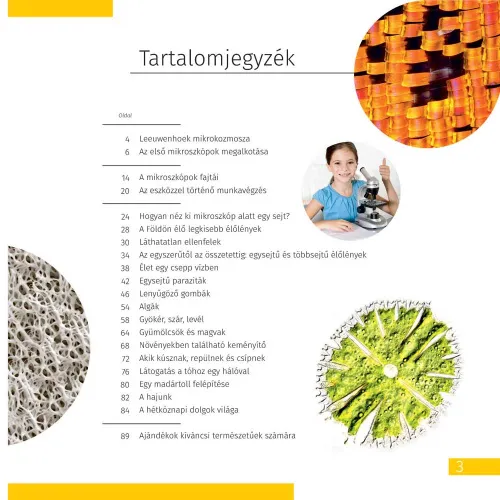 picture Space. Microworld. Knowledge Book 2 vol,  13