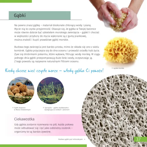 image Invisible World. Knowledge book. Hardcover,  11