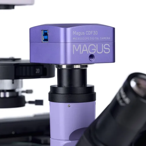 picture MAGUS Bio VD350 Biological Inverted Digital Microscope,  23