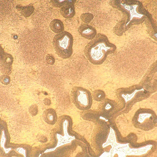 photo MAGUS Metal 650 Metallurgical Microscope,  18