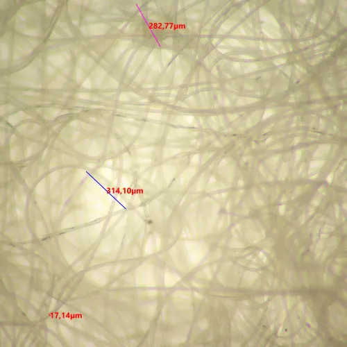 picture MAGUS Stereo D9T Digital Stereomicroscope,  24