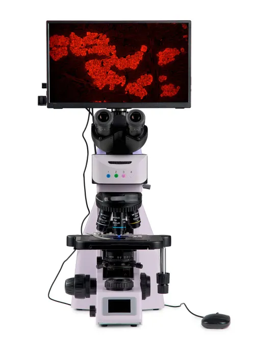 photo MAGUS Lum D460L LCD Fluorescence Digital Microscope,  9