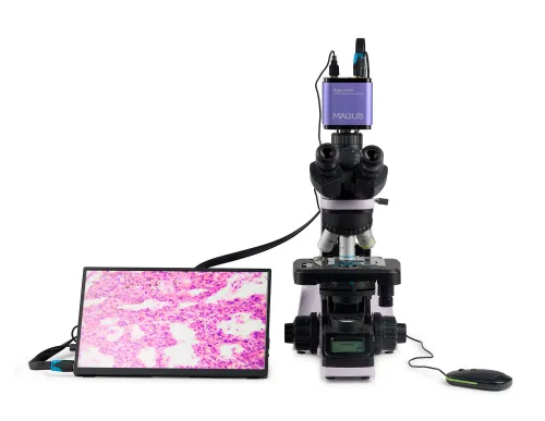photo MAGUS Bio D240T LCD Biological Digital Microscope,  5