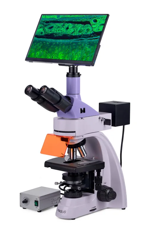 photo MAGUS Lum D400L LCD Fluorescence Digital Microscope,  3