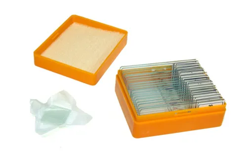 photograph Levenhuk N20 NG Prepared Slides Set,  3