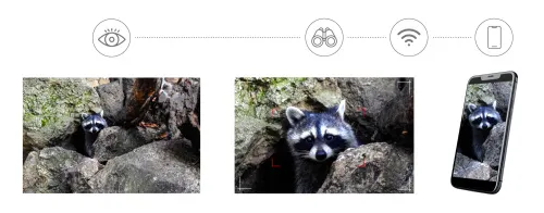 photograph Levenhuk Kelvin Snap ED 8x42 Digital Photobinoculars,  6