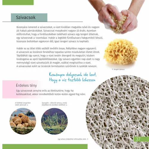 picture Space. Microworld. Knowledge Book 2 vol,  9