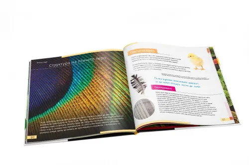 image Invisible World. Knowledge book. Hardcover,  10